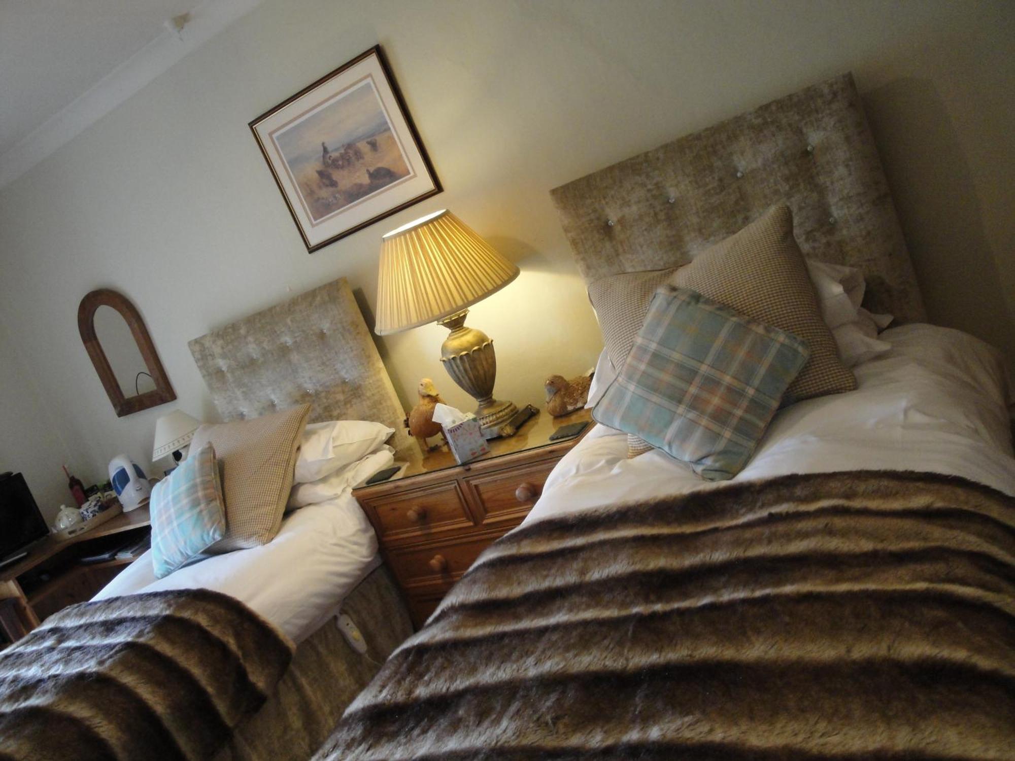 Bed and Breakfast Cary Fitzpaine House Babcary Номер фото