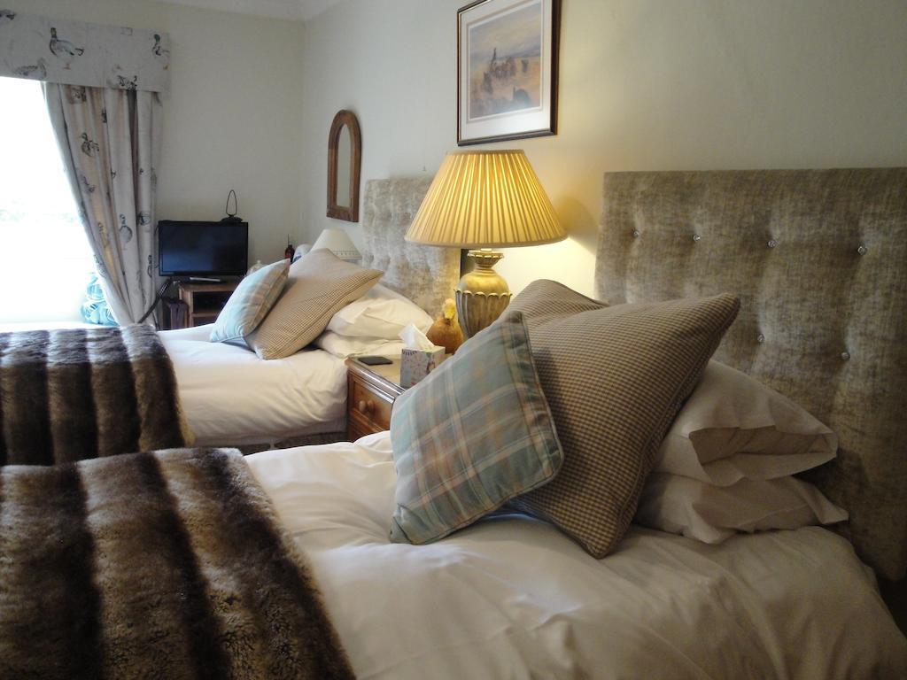 Bed and Breakfast Cary Fitzpaine House Babcary Номер фото