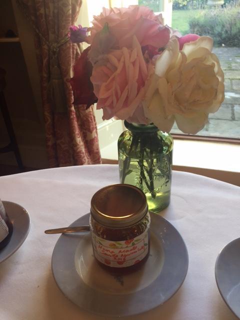 Bed and Breakfast Cary Fitzpaine House Babcary Екстер'єр фото
