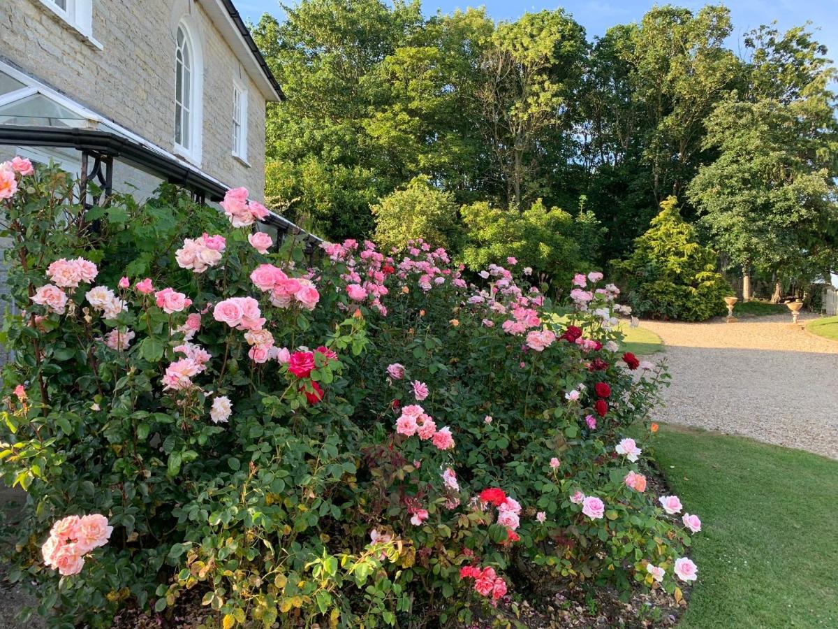 Bed and Breakfast Cary Fitzpaine House Babcary Екстер'єр фото