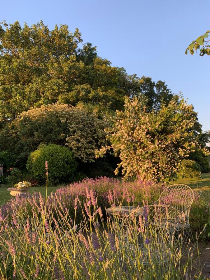 Bed and Breakfast Cary Fitzpaine House Babcary Екстер'єр фото
